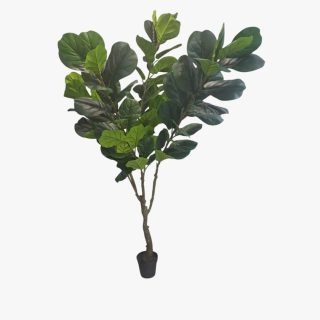 LXG292-PL ARTIFICIAL FIDDLE FIG TREE | 210 CM | LXG292-PL